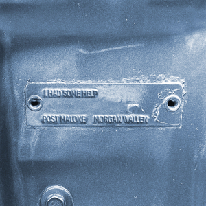 香香公主和爱犬合体
