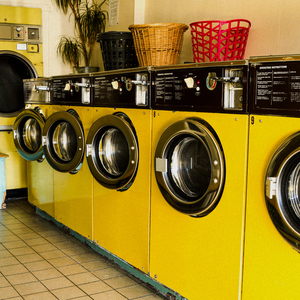 香香公主和爱犬合体
