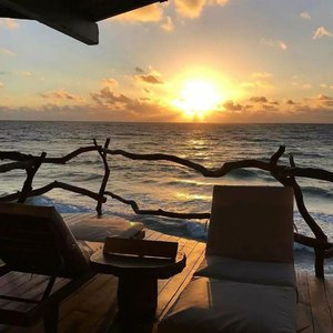 香香公主和爱犬合体
