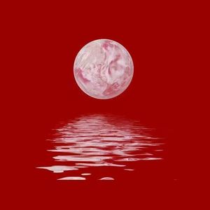 香香公主和爱犬合体
