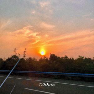 香香公主和爱犬合体
